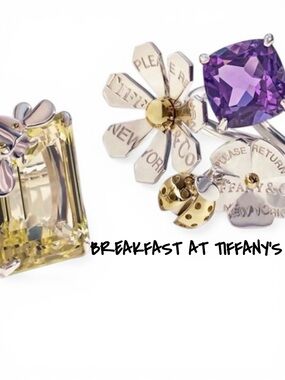 β¨πΈMeet the PosherπΈβ¨